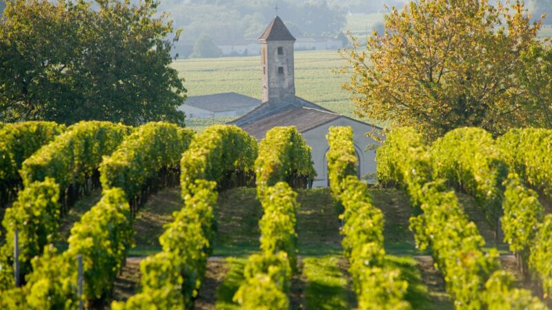 Une très mauvaise année 2014 pour le vignoble bordelais
