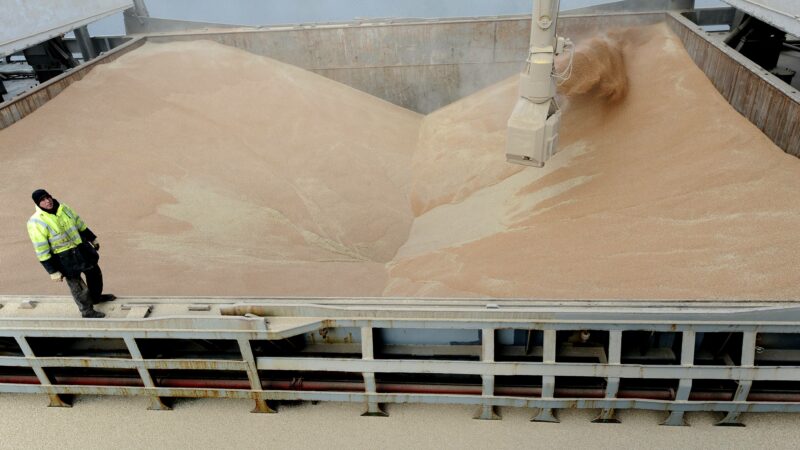 Prix du blé : trois meuniers condamnés pour entente illicite