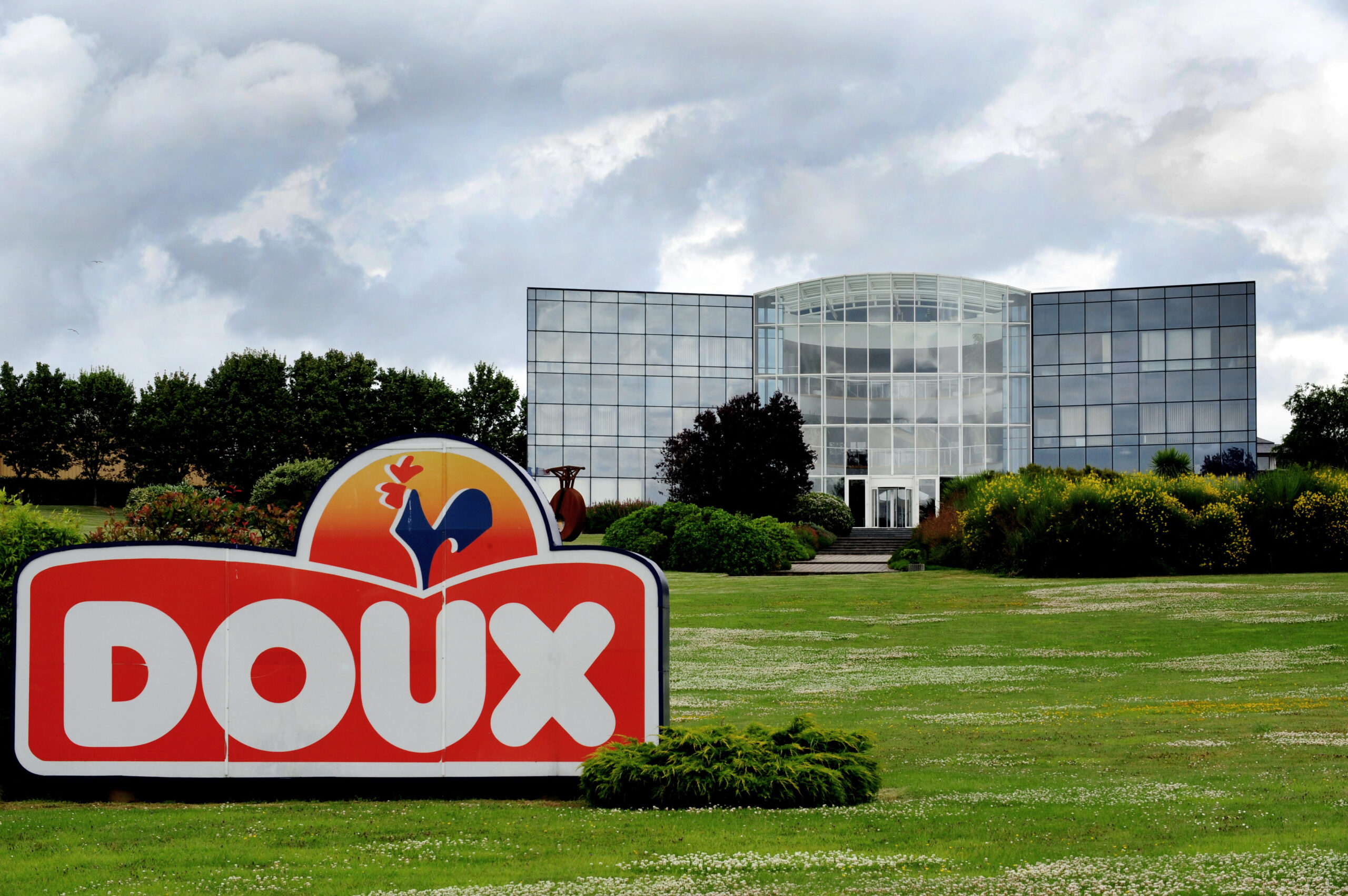 Volaille : Doux sur le point d&rsquo;être racheté par un poids lourd de la filière agricole française