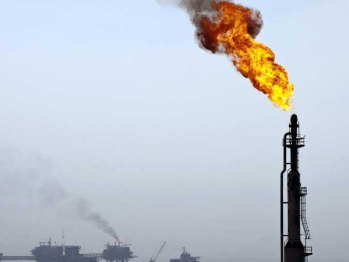 Sans essence, la productivité des entreprises en danger