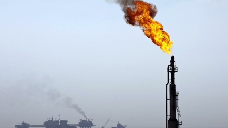 Sans essence, la productivité des entreprises en danger