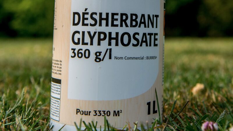 Auchan retire les références contenant des molécules de synthèse de son rayon jardinage