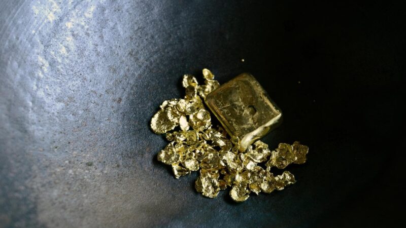 Le WWF exhorte le président français à stopper un projet minier en Guyane