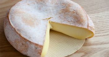 Forte augmentation de l’épidémie de salmonellose liée au fromage au lait cru