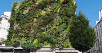 Paris : la mairie veut végétaliser la capitale