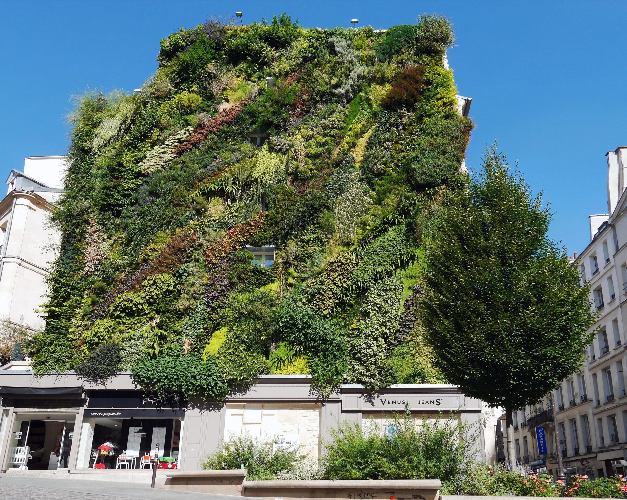 Paris : la mairie veut végétaliser la capitale