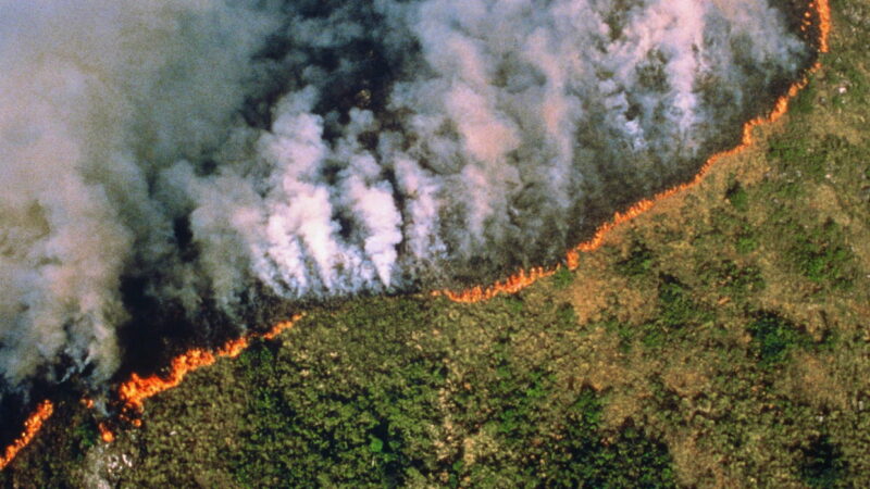 Le ministre brésilien de l&rsquo;Économie attaque de nouveau la France au sujet de l&rsquo;Amazonie