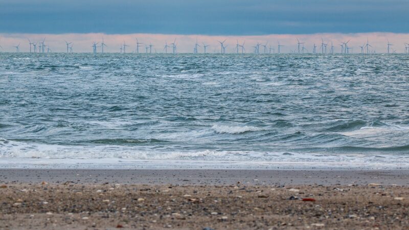 Éolien en mer : la France muscle son ambition