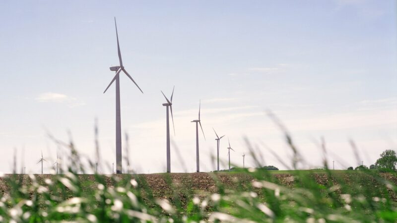 Iberdrola acquiert un acteur de l&rsquo;éolien français