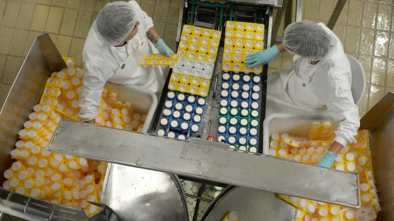 En février, les services en zone euro ont été entravés, mais les usines ont démarré au quart de tour – PMI