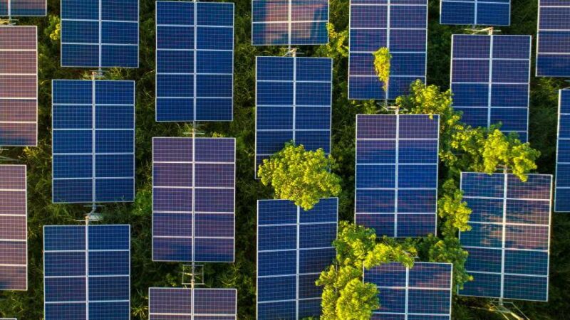 Électricité de France : EDF investit dans les énergies bas carbone au Kenya